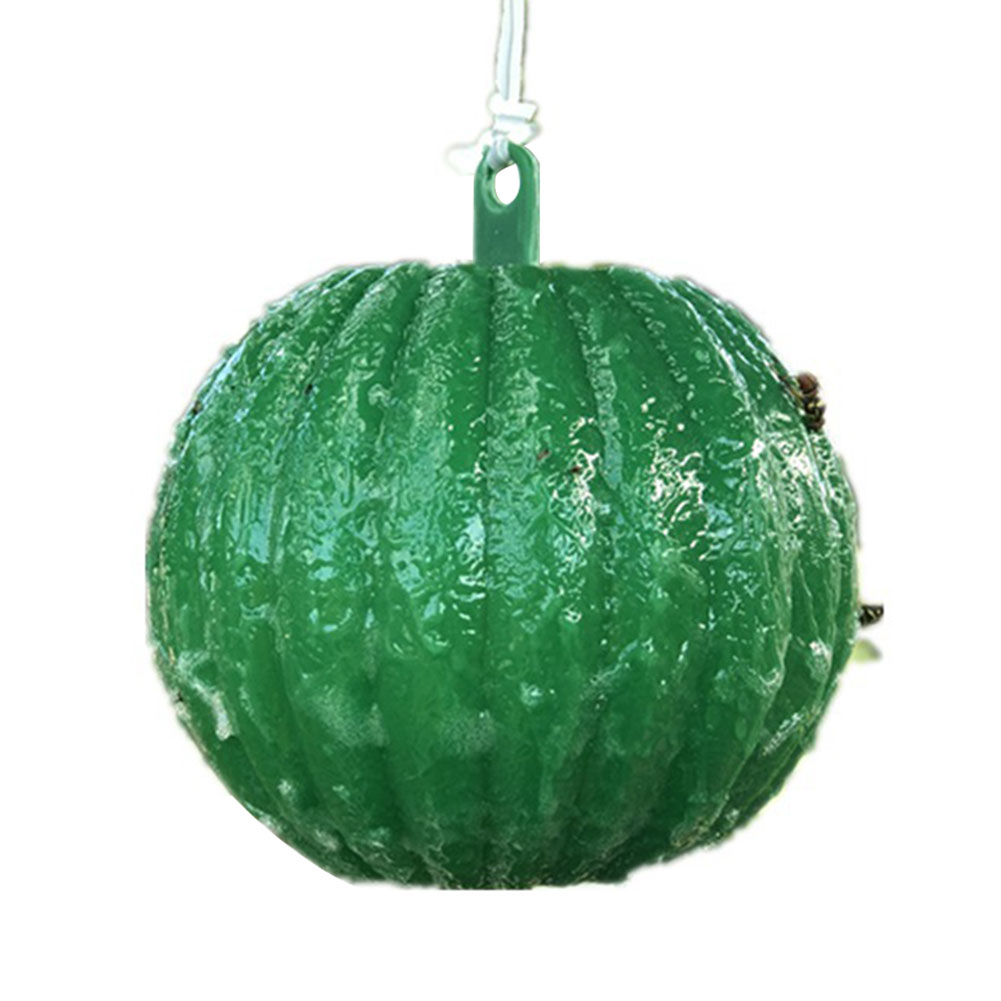 Sticky Fruit Fly Trap Ball Ball Wasp Bee Insect Trap for Indoor Outdoor (Green) Gardening Supplies